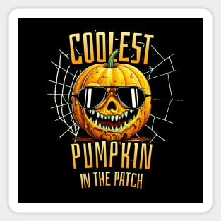 Coolest Pumpkin In The Patch Sticker